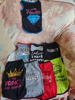Large pet shirts