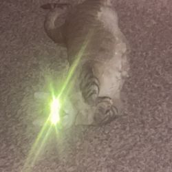 His Greed Sickens Me