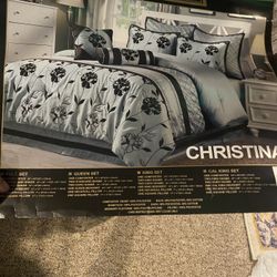 Used Silk Comforter Set 