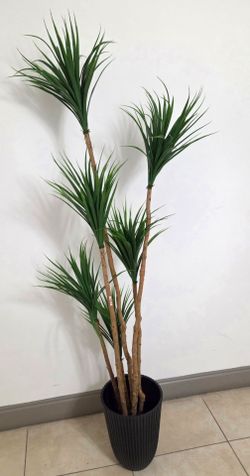 6ft Faux Spider Dracaena in a 15in (Tall) Black Resin Planter @ Lasting Creations