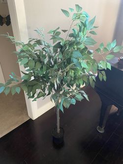 5ft Mini Ficus Indoor Artificial 