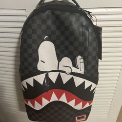 Sprayground backpack 