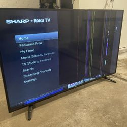 55 Inch Smart TV (damaged)