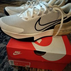 Brand New In Box Size 12 Nikes