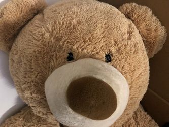 Giant Cute Teddy Bear - Needs a “Forever Home”