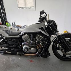 Harley Davidson V Rod Muscle 