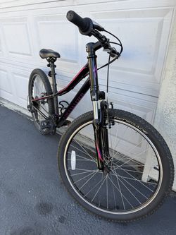 Specialized Hot Rock wheels 24”