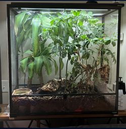 Carolina Custom Cages 36”x18”x36”