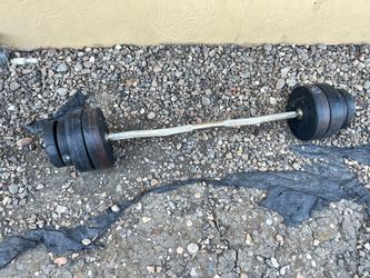Standard curl bar