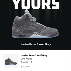 Jordan 5 Wolf Grey size 9.5