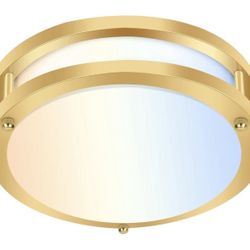 13 Inch LED Ceiling Light