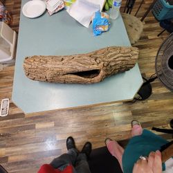 LIZARD LOG