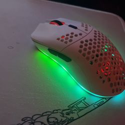 Mouse