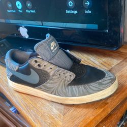 Paul Rodriguez 7