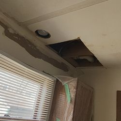 House Painter 