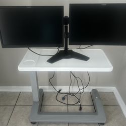 Dual Computer Monitors