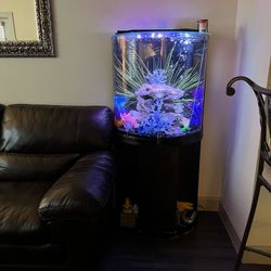 40 gallon fish tank, half moon everything included
