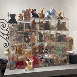 TY Beanie babies 200+ LOT (plush Dolls) (will Not Sell Individuals)