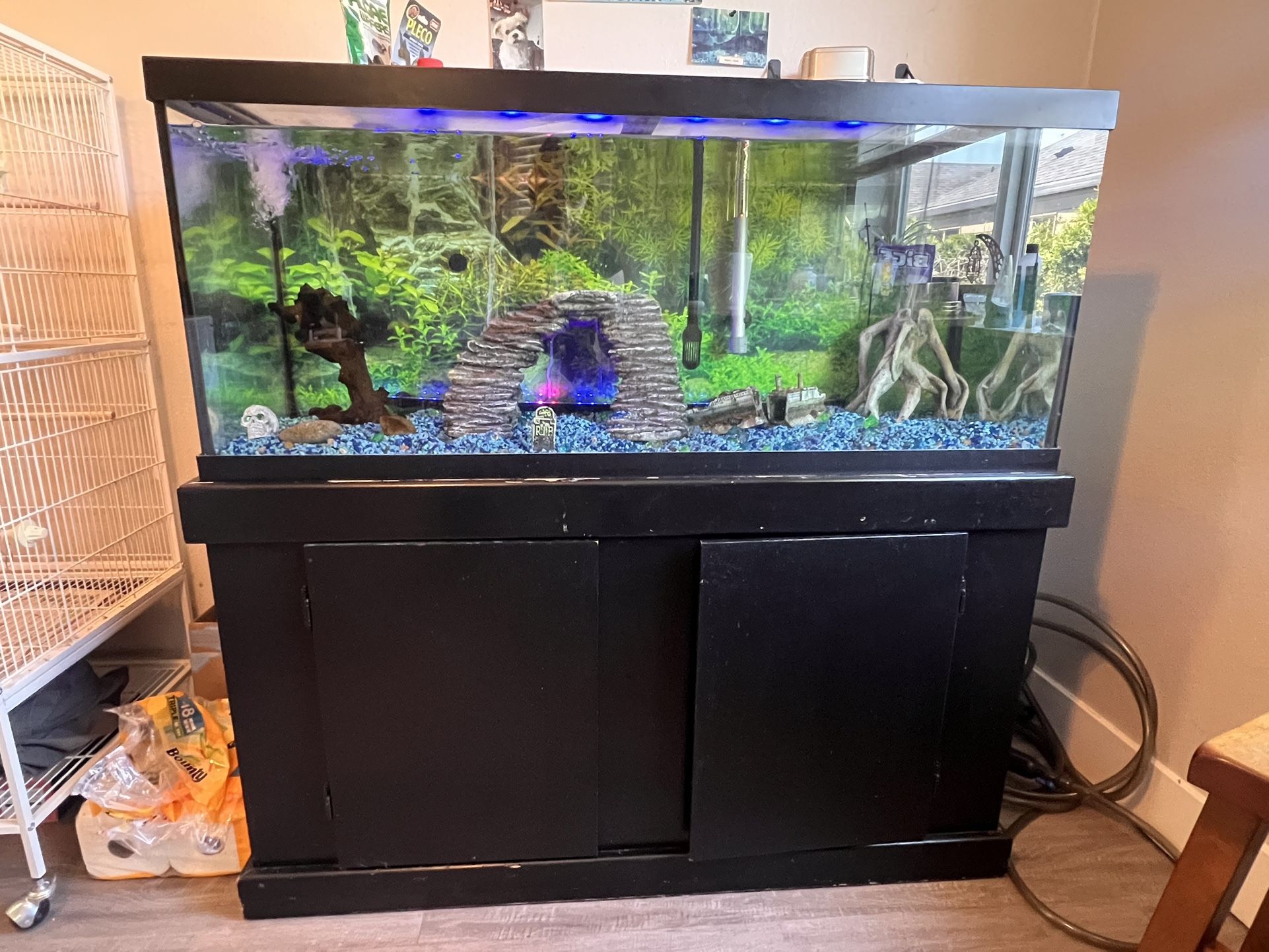 75 Gallon Marineland Fish tank