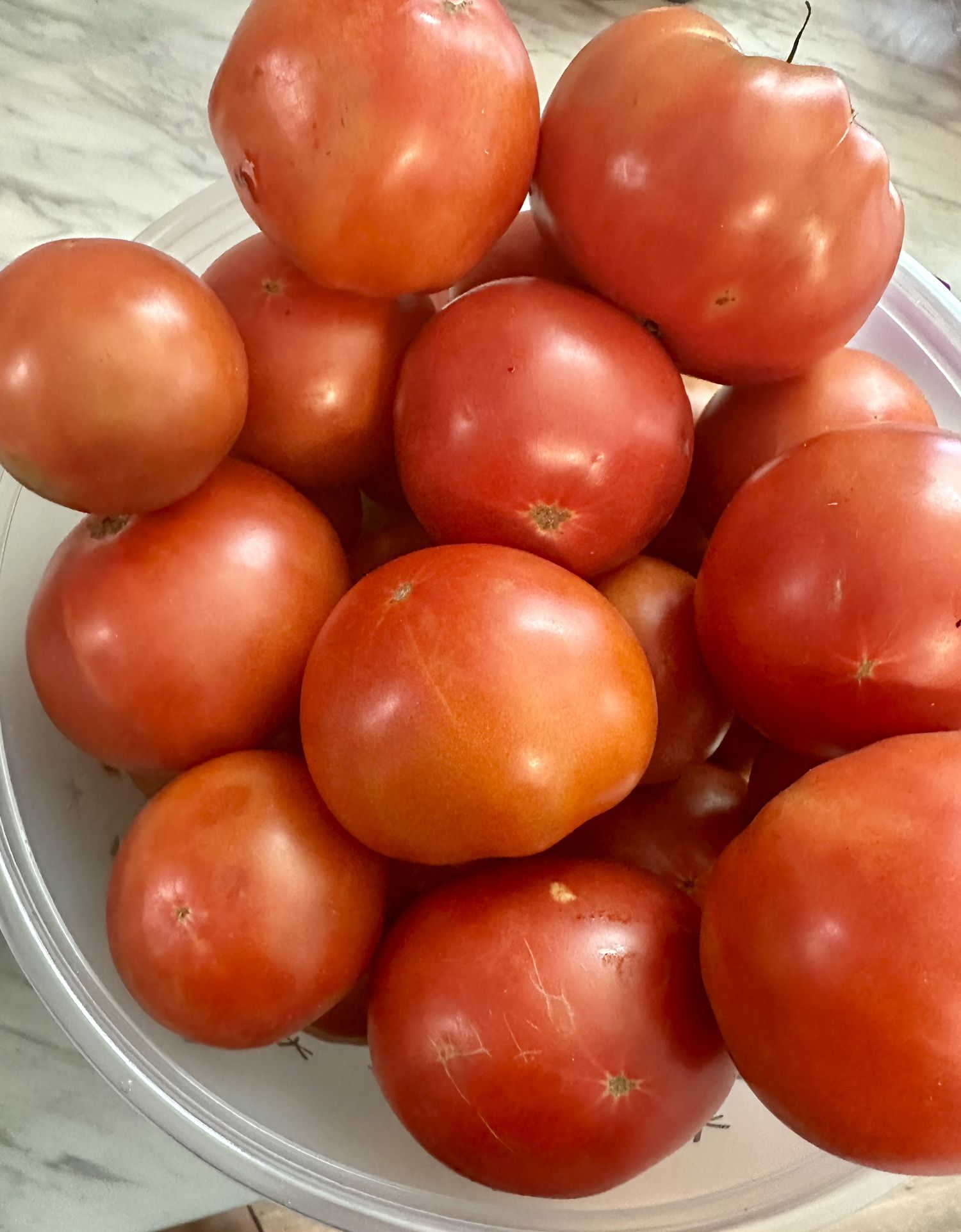 Organic Produce 