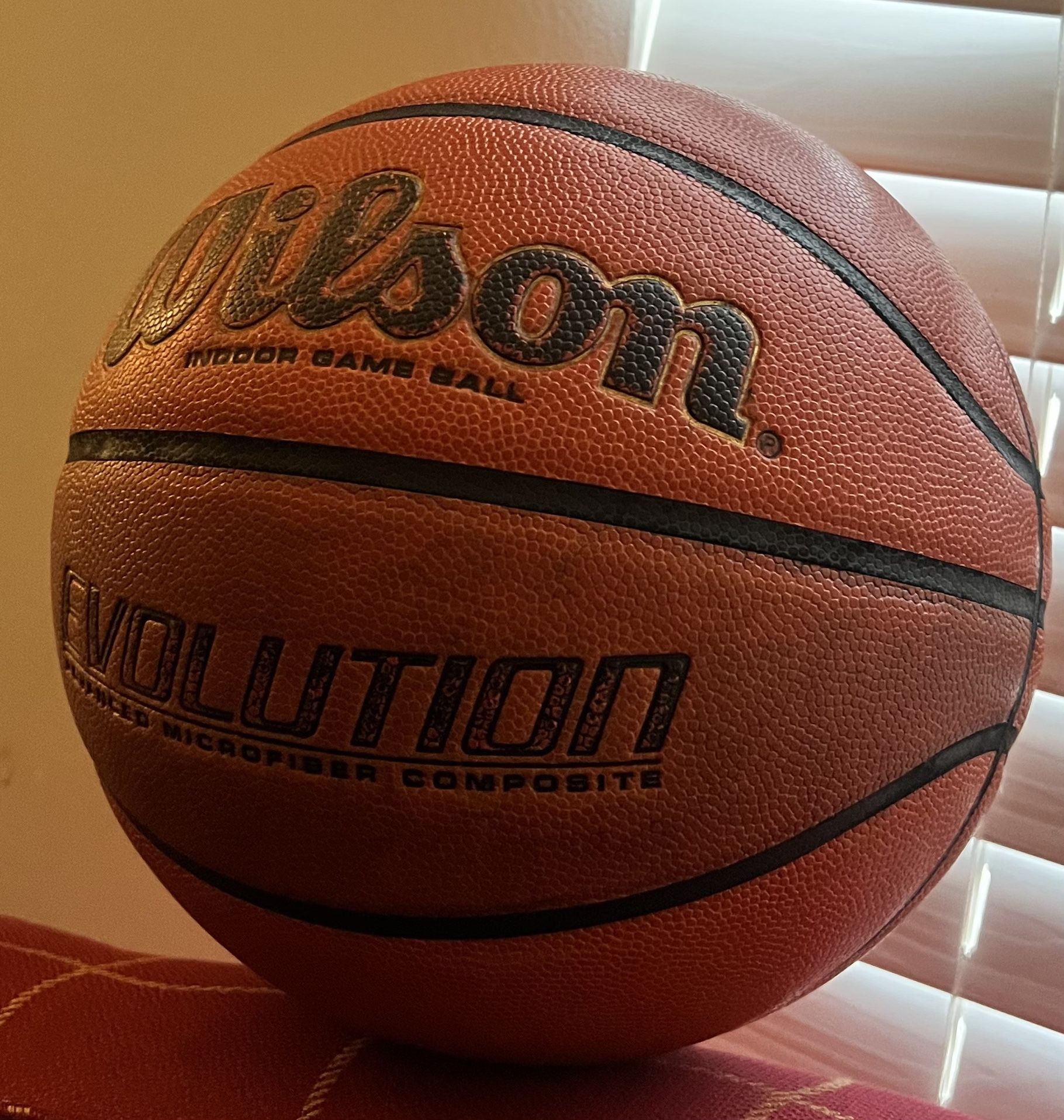 Wilson Basketball