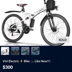 Vivi Electric Bike