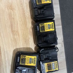 12/20 V Battery Charger