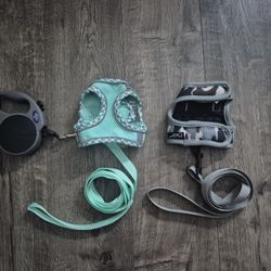 Leash And Harness
