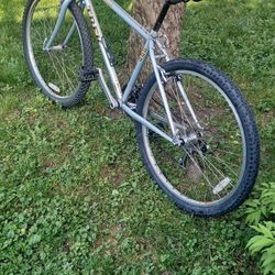 Trek 