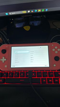 Pink switch lite