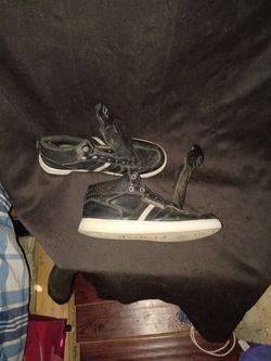 Calvin Klein high tops