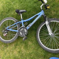 Raleigh Mountain Bike