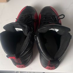 Jordan 12