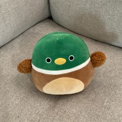 Duck Squishmallow 