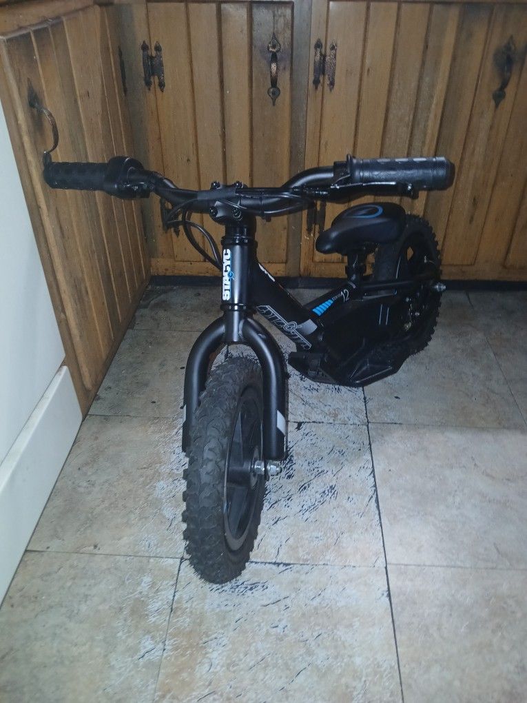 Electric Toddler Bike