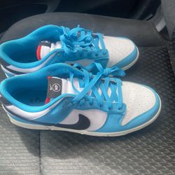Brand New Men Nike Dunks