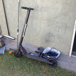 Electric Scooters