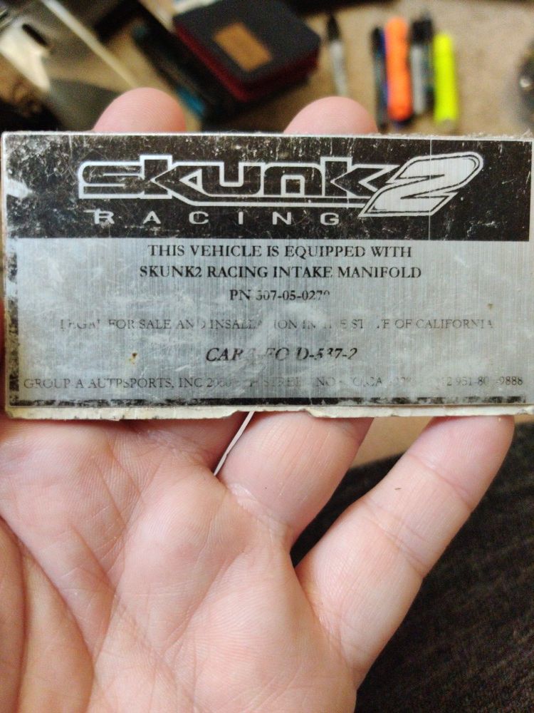 Skunk 2