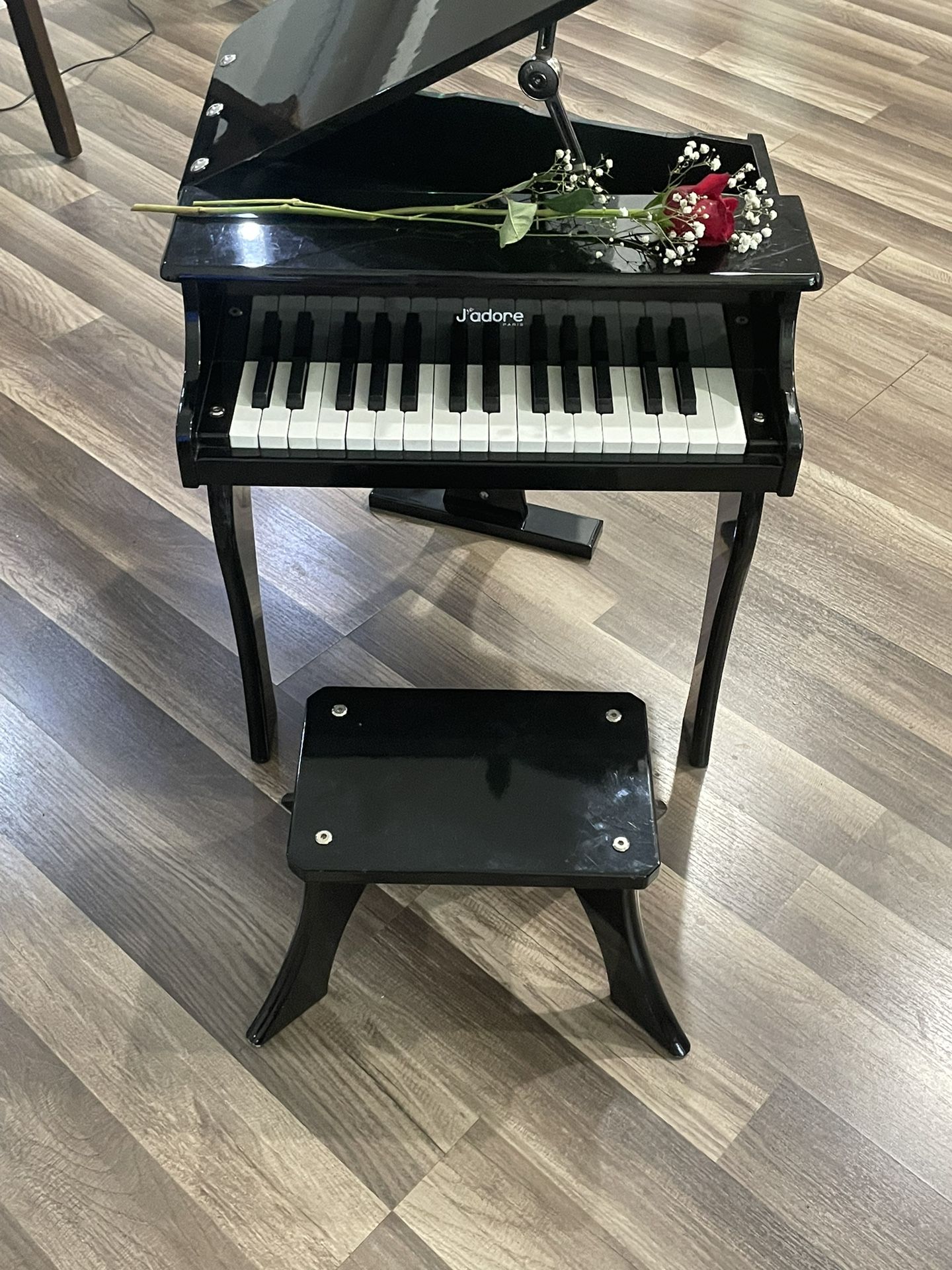 Child,s First Baby Grand Piano