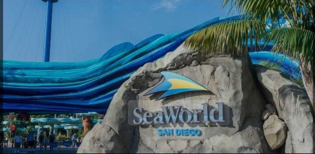 I have 4 SeaWorld Tickets For Today!  Asking $40 each obo.