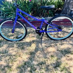 Guardian Ethos 24-inch kids' bike