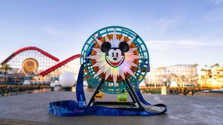 Disneyland Ferris wheel popcorn souvenir