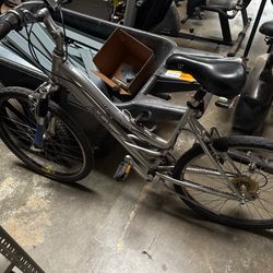 Schwinn Bikes