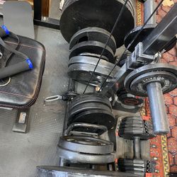 Weights 