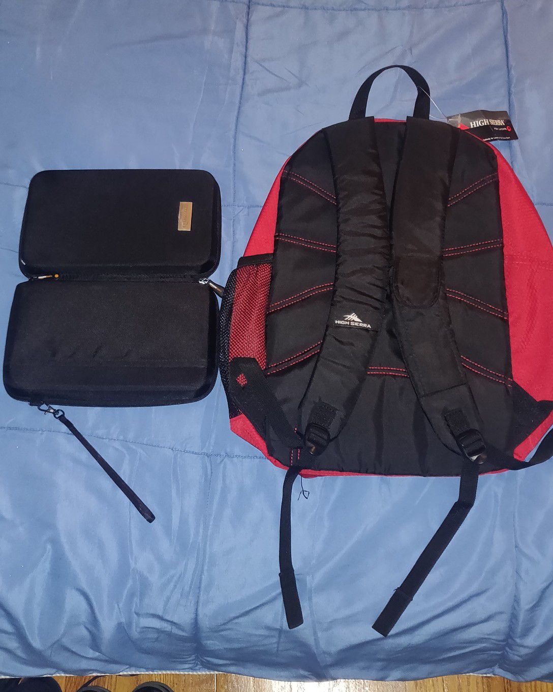 Backpack and electronics bag