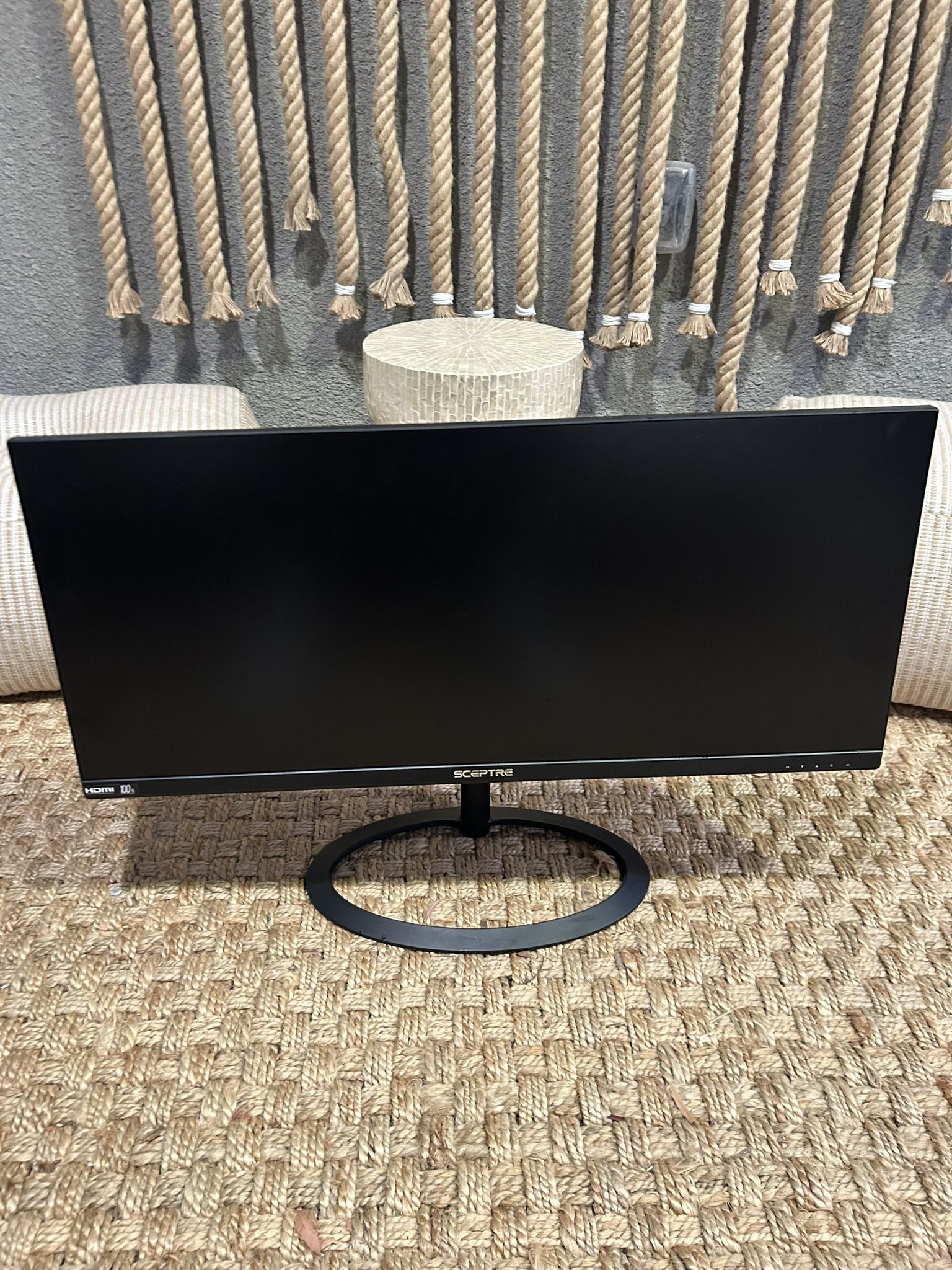 SCEPTRE 100hz 30inch Monitor