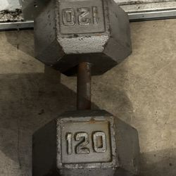 Single Dumbell 120bls 