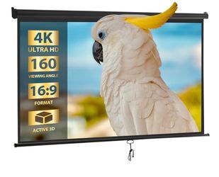 Outdoor screen