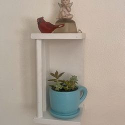 Shelf with Natural Succulents