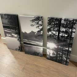 Canvas Wall Art (3 Pieces)
